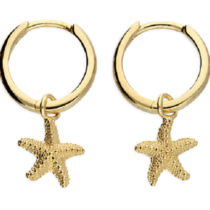 12mm/Yellow-gold plated-starfish...